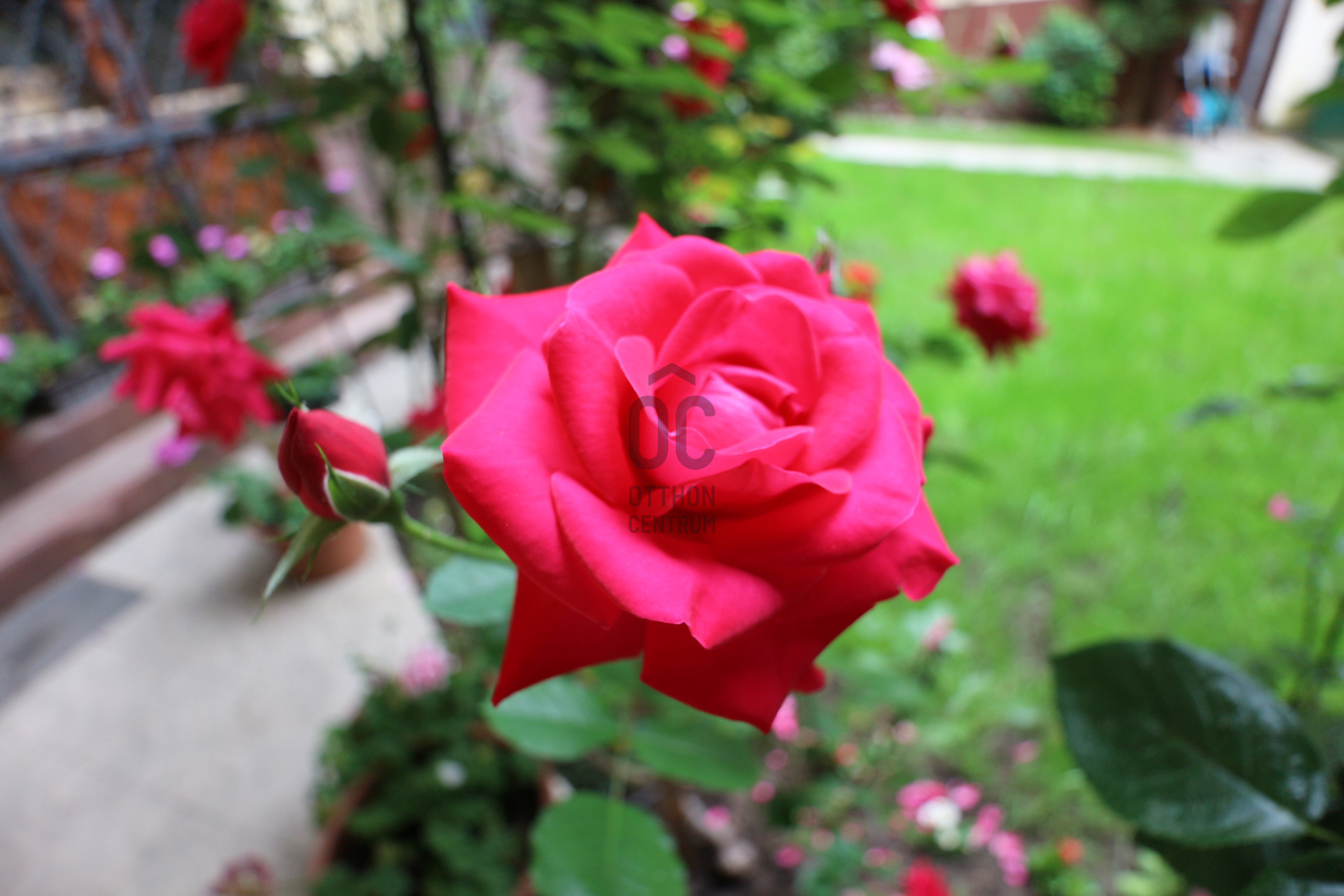 Gallery zoom image
