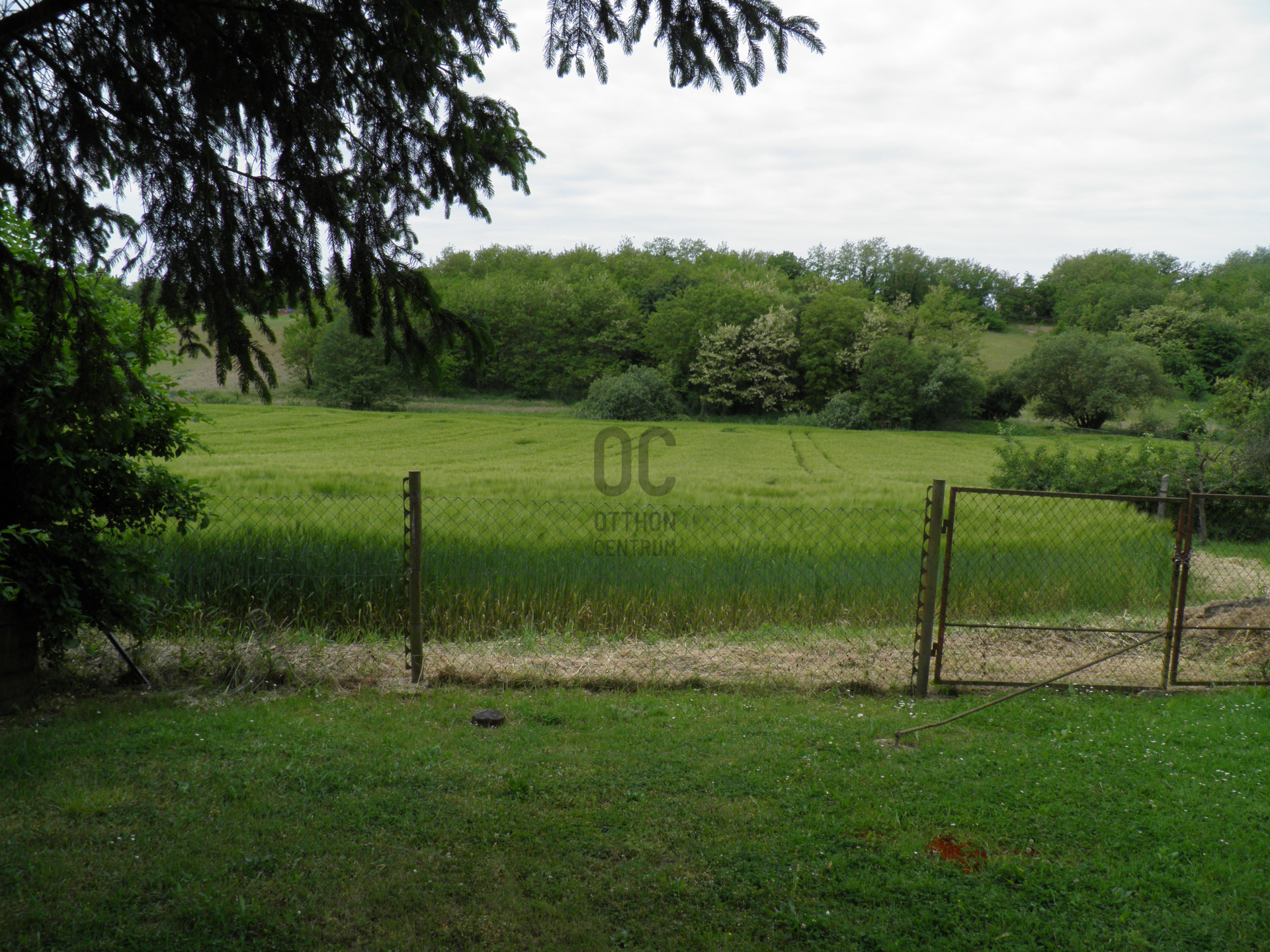 Gallery zoom image