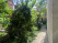 Index image