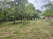 Index image