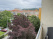 Index image