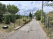 Index image