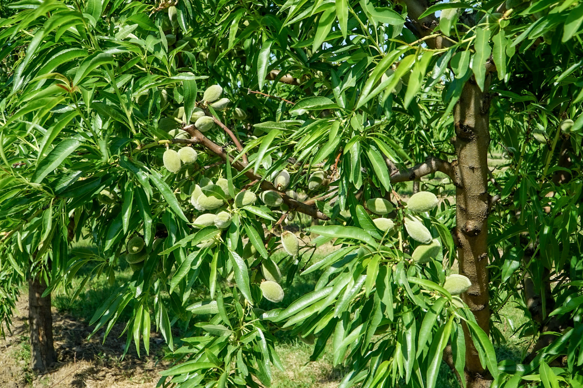 Gallery zoom image