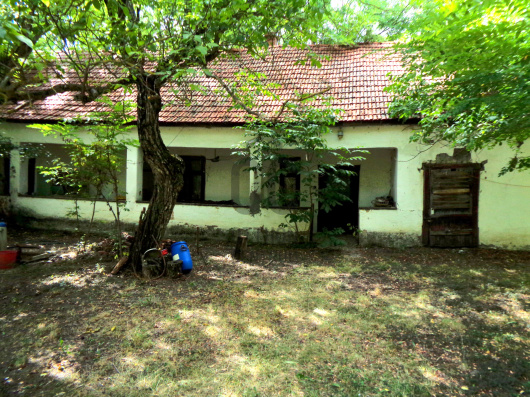 Index image