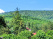 Index image