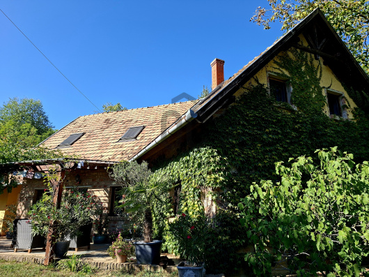 Index image
