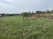 Index image