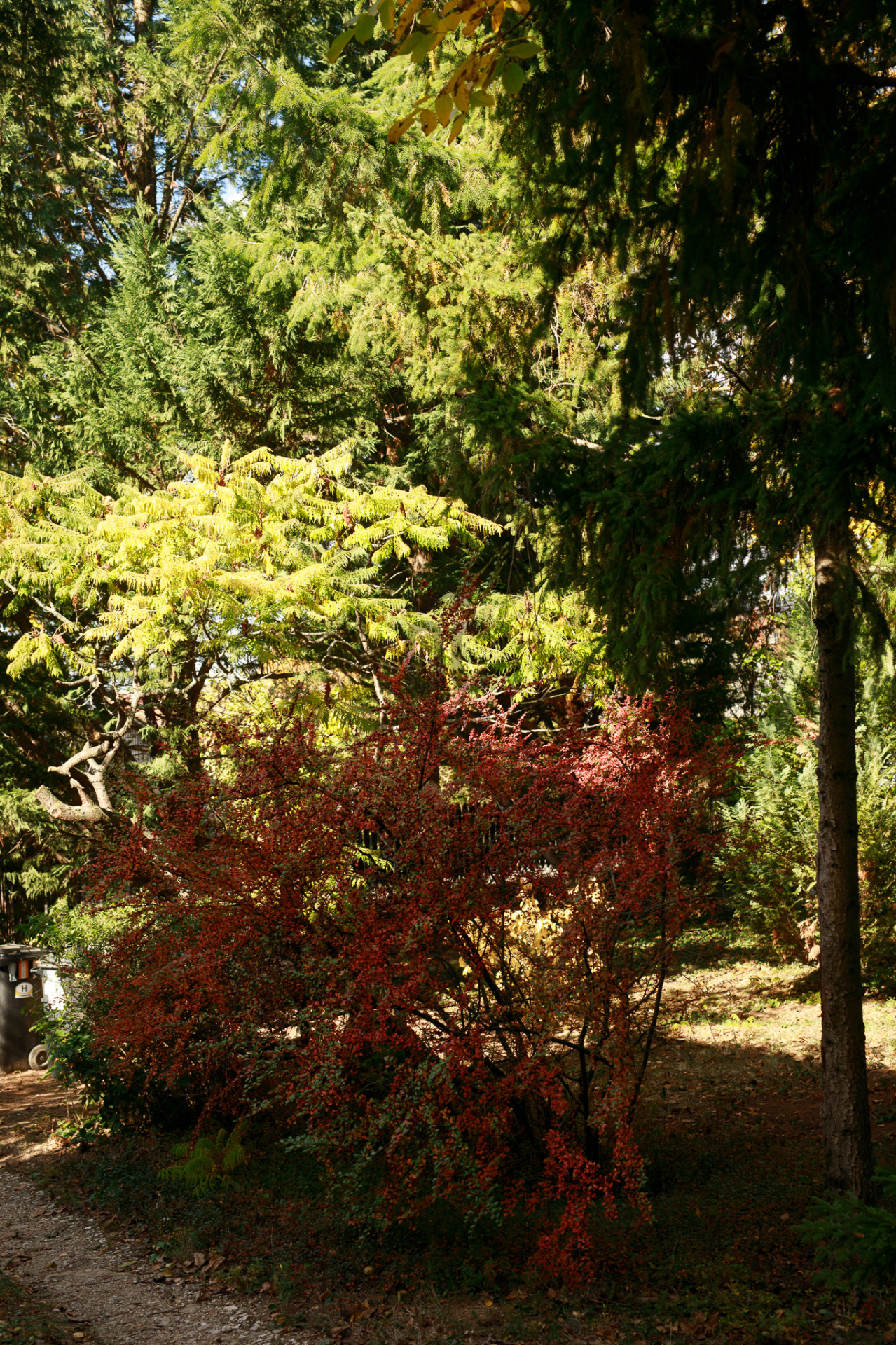 Gallery zoom image