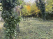 Index image
