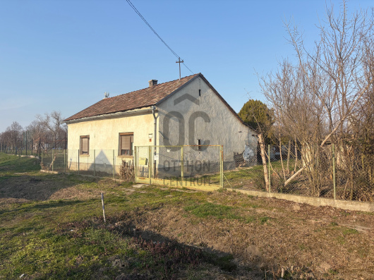 Index image