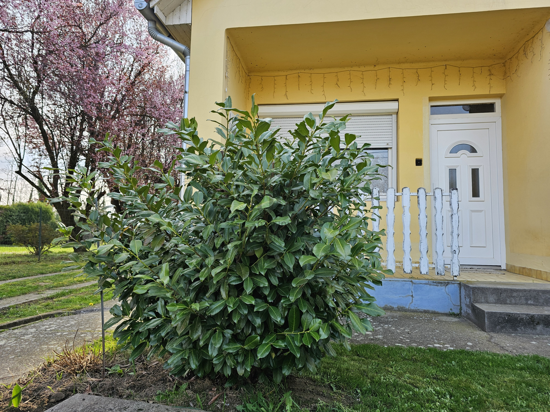 Gallery zoom image