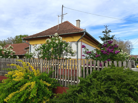 Index image