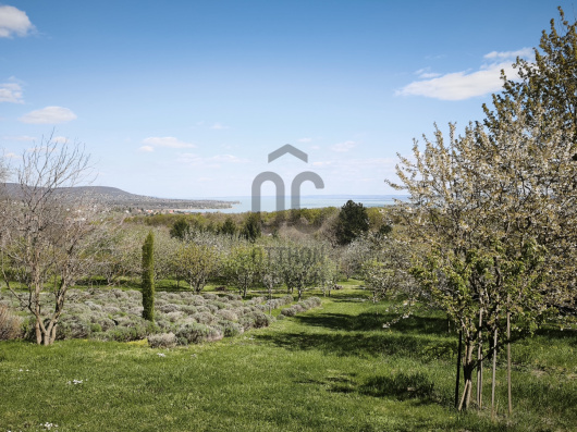 Index image