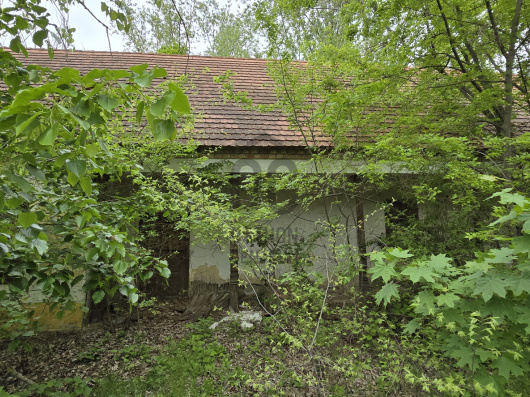 Index image