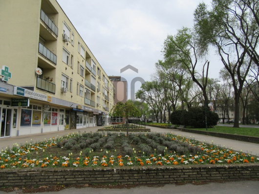 Index image