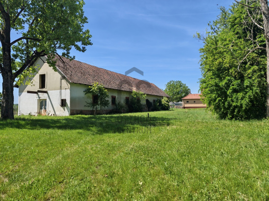 Index image