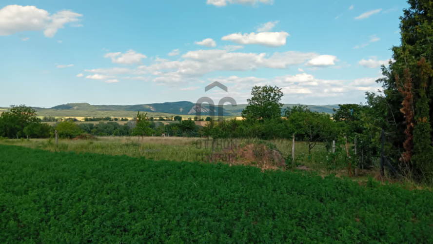 13356m² · Telek · 195.000.000 Ft