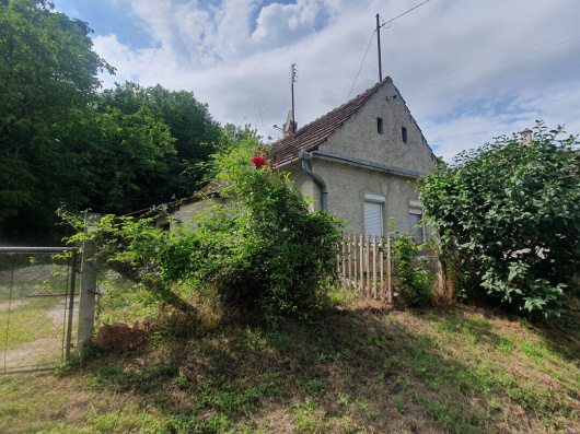 Index image