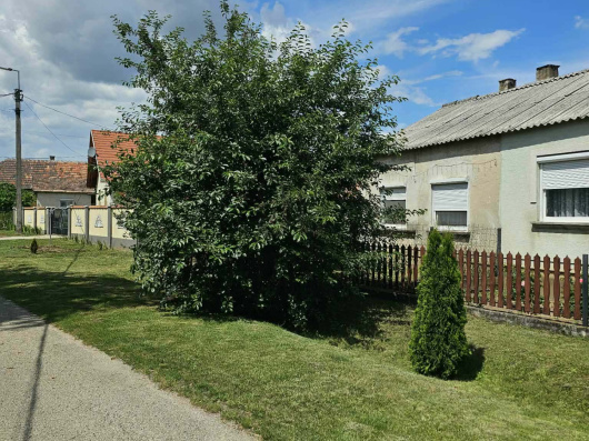 Index image