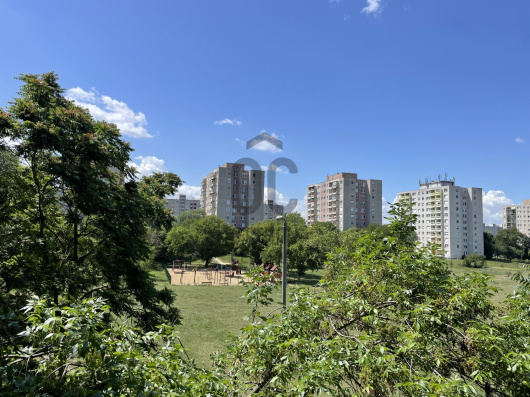 Index image