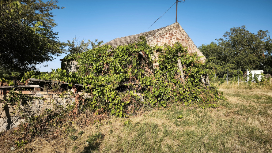 1 bed · 20m² · Nyaraló · 19.800.000 Ft