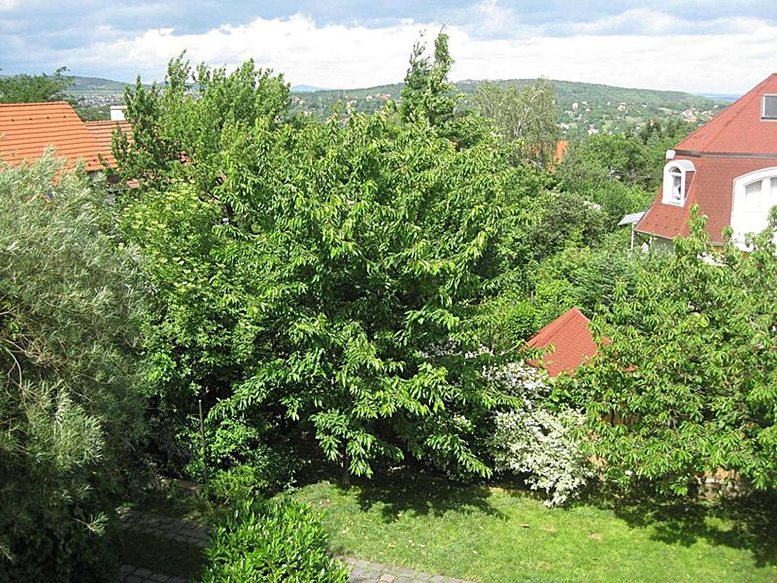 Gallery zoom image