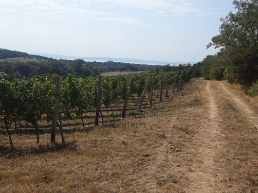 Index image