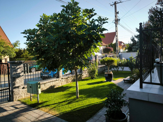 Index image